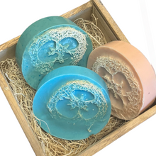 Load image into Gallery viewer, Loofah Soap