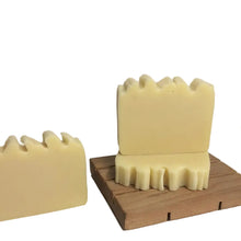 Load image into Gallery viewer, Pet Soap