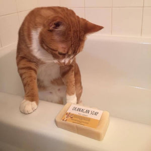 Pet Soap